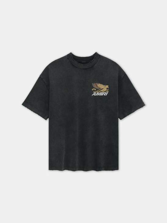 Picture of Amiri T Shirts Short _SKUAmiriS-XLmrtx0823462